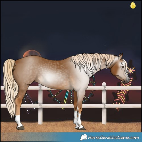 Horse Color:Gray Palomino