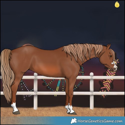 Horse Color:Chestnut 