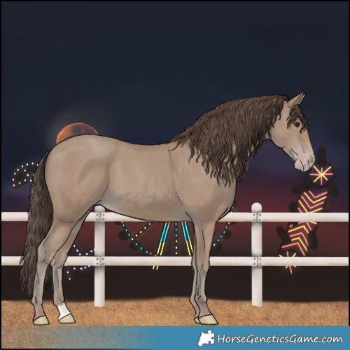 Horse Color:Classic Champagne 