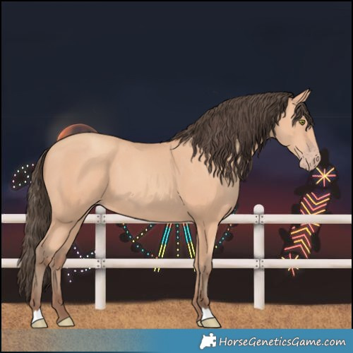 Horse Color:Amber Champagne