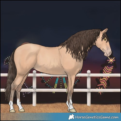 Horse Color:Amber Champagne