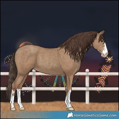 Horse Color:Classic Champagne