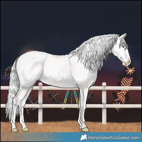 Horse Color:Cremello Splash