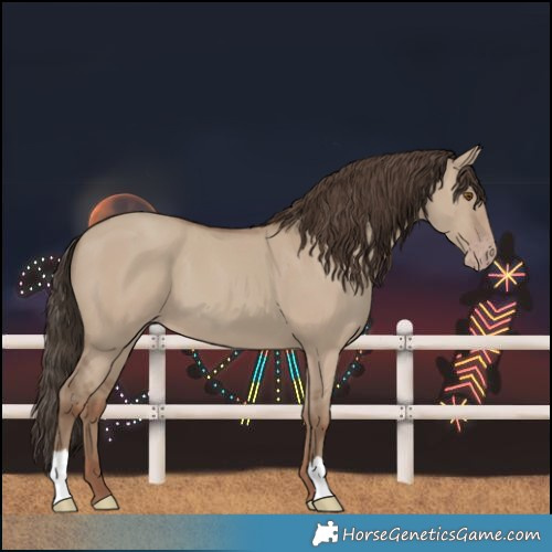 Horse Color:Classic Champagne Dun