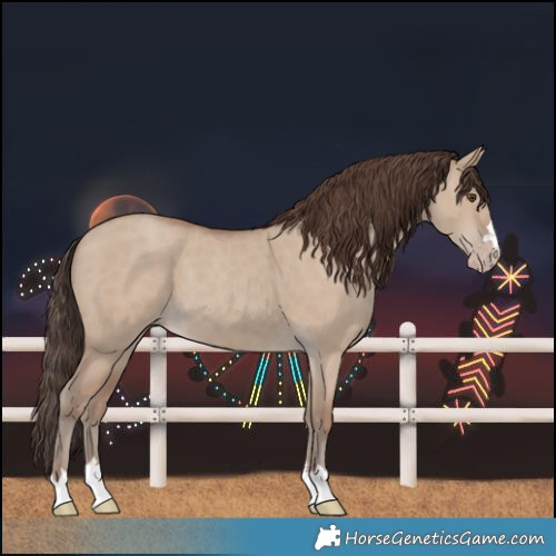 Horse Color:Classic Champagne Dun