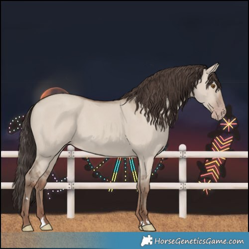 Horse Color:Classic Champagne Dun 