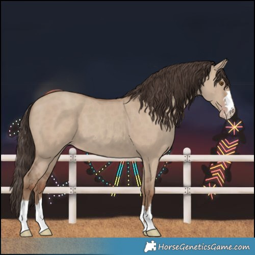 Horse Color:Classic Champagne Dun 