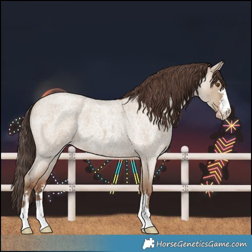 Horse Color:Classic Champagne Roan Dun 