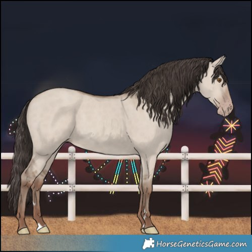 Horse Color:Classic Champagne Dun