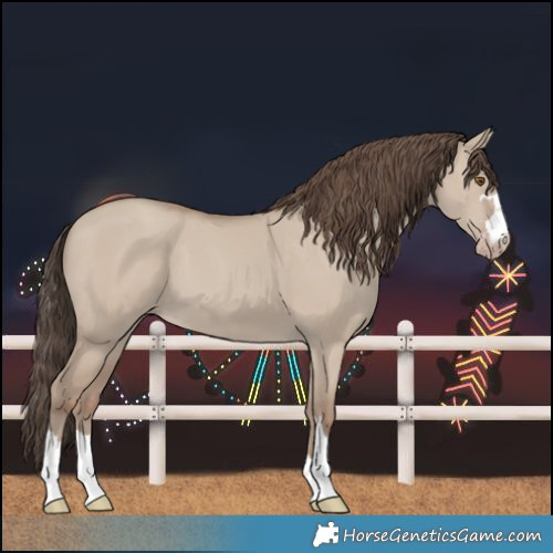 Horse Color:Classic Champagne Dun 