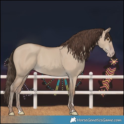 Horse Color:Classic Champagne Dun 