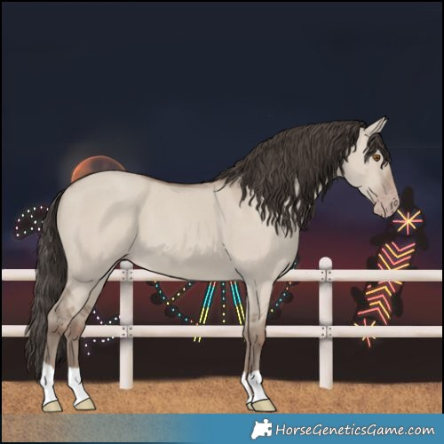 Horse Color:Classic Champagne Dun