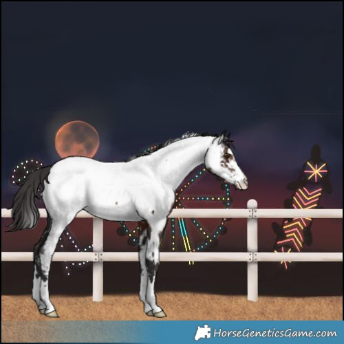 Horse Color:White Spotted Liver Chestnut Near Fewspot 