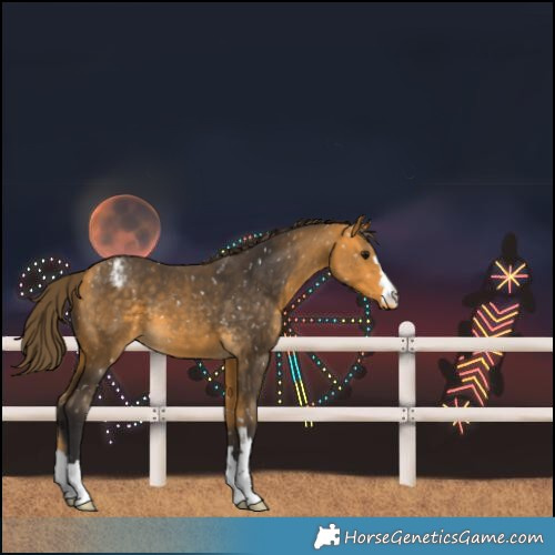 Horse Color:Buckskin Snowflake Varnish