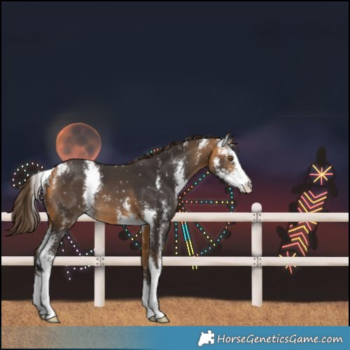 Horse Color:Buckskin Sabino Snowflake Varnish