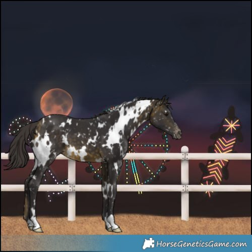 Horse Color:White Spotted Buckskin Snowflake Varnish