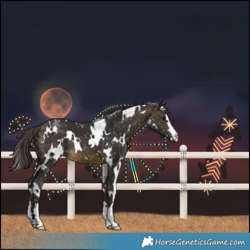 Horse Color:White Spotted Buckskin Snowflake Varnish