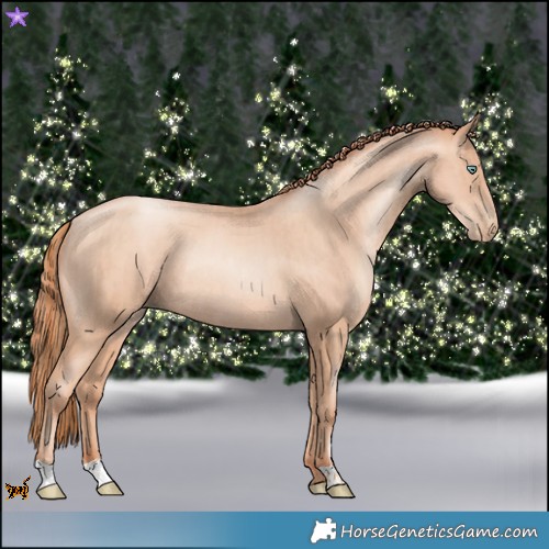 Horse Color:Gold Champagne Pearl Rabicano  and Sable Champagne Pearl Rabicano 