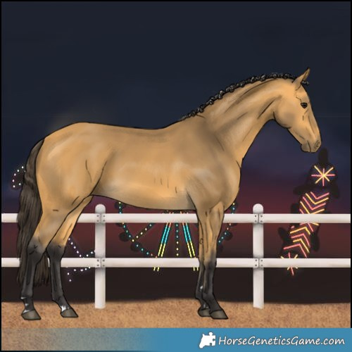 Horse Color:Unknown 