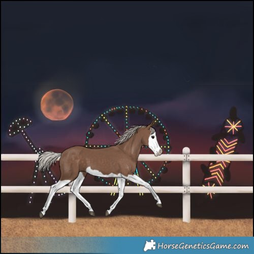 Horse Color:Silver Black Splash 