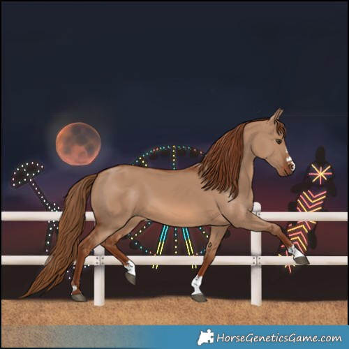 Horse Color:Red Dun 