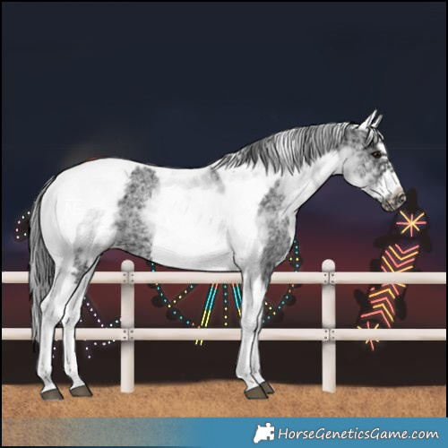 Horse Color:White Spotted Black Splash Tobiano Frame Blanket 