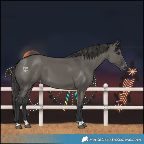 Horse Color:Grullo Varnish 