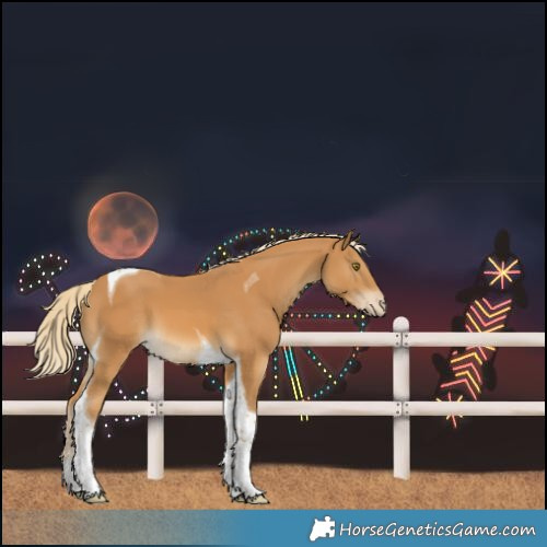 Horse Color:Unknown 
