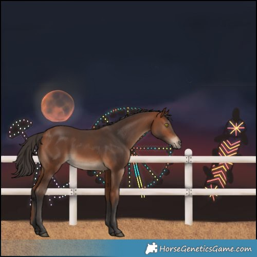 Horse Color:Bay Rabicano