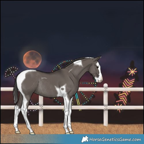Horse Color:Smoky Grullo Splash Tobiano Rabicano 