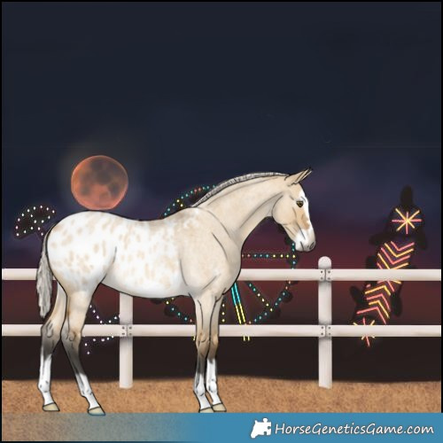 Horse Color:Gray Silver Buckskin Roan Dun Splash Frame Blanket
