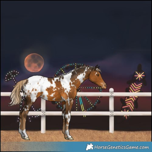 Horse Color:White Spotted Chocolate Palomino Blanket 