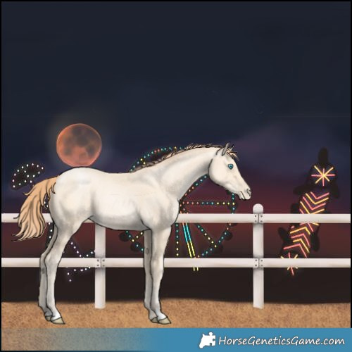 Horse Color:Amber Cream Champagne Pearl