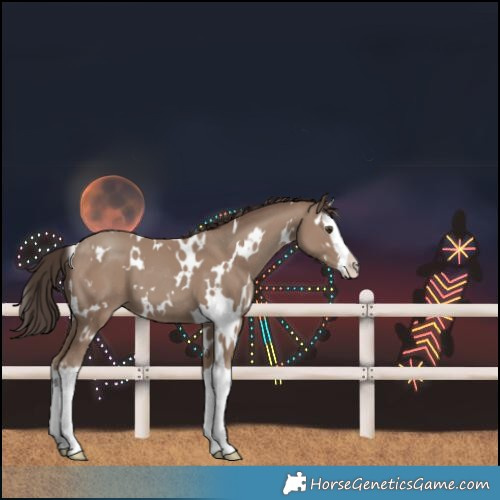 Horse Color:White Spotted Classic Champagne Splash