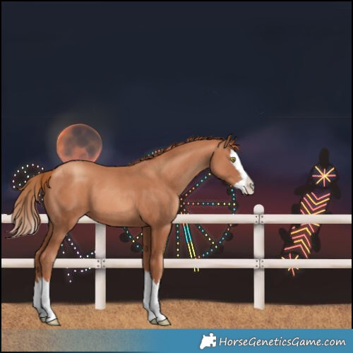 Horse Color:Gold Champagne Splash 
