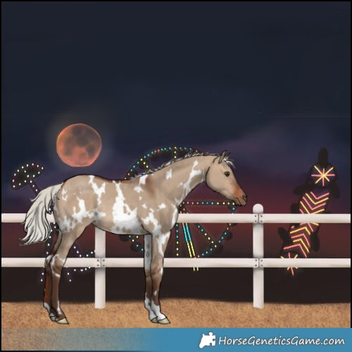 Horse Color:White Spotted Silver Bay Dun Rabicano