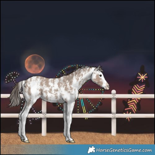 Horse Color:Classic Champagne Sabino Splash