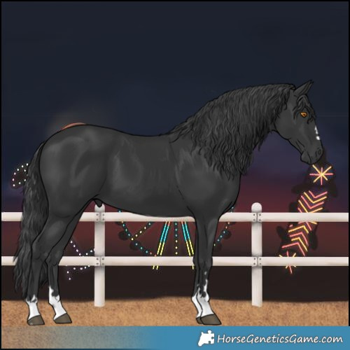 Horse Color:Black 