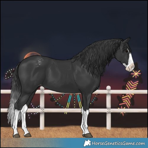 Horse Color:Black Splash Varnish 