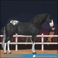 Horse Color:Black Splash Blanket 