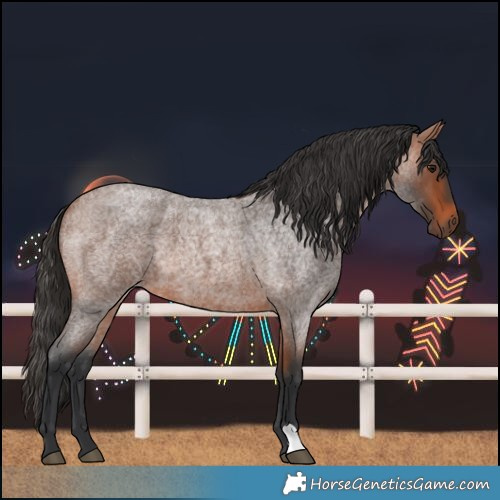 Horse Color:Bay Roan