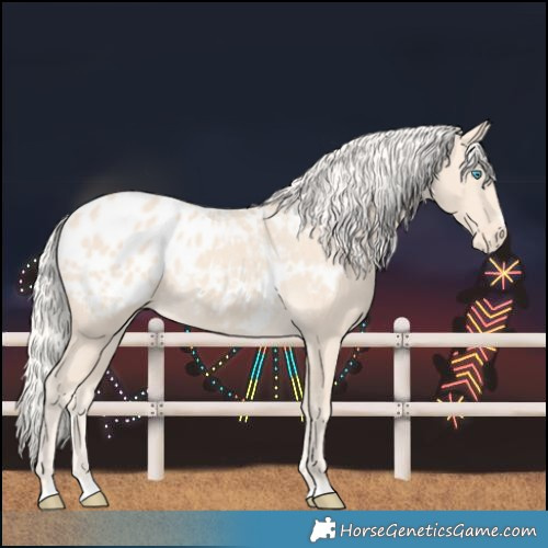 Horse Color:Cremello Blanket 