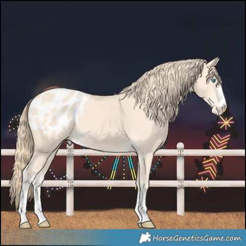 Horse Color:Perlino Blanket