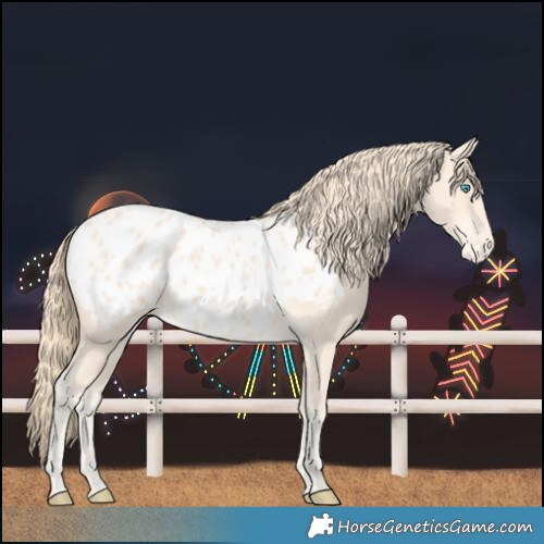 Horse Color:Perlino Blanket 