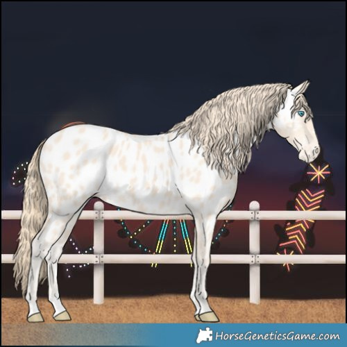 Horse Color:Perlino Near Leopard 