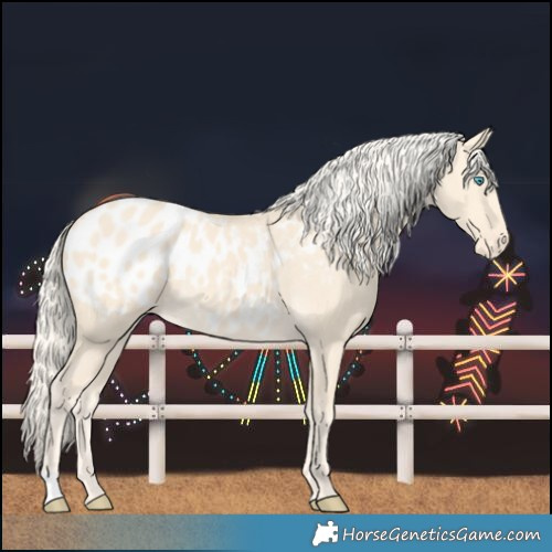 Horse Color:Cremello Blanket