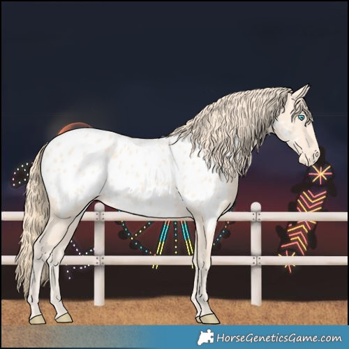Horse Color:Perlino Near Leopard 