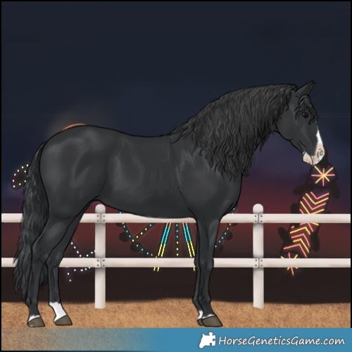 Horse Color:Black Splash 