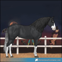 Horse Color:Black Splash 