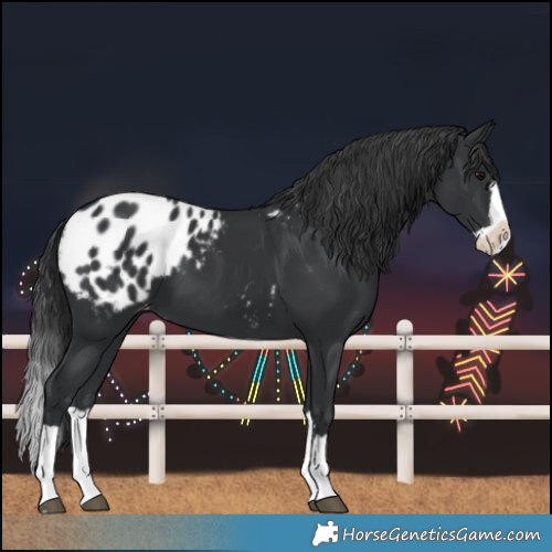 Horse Color:Black Splash Blanket 